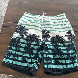 Mens mesh lined swim trunks